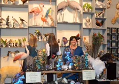 Lara Lem van De Museumwinkel (DMW) Taxidermy & Interior biedt een uitzonderlijke verzameling vlinders, zoogdieren, vogels, fossielen, mineralen, schedels, huiden en andere bezienswaardigheden. De onderdelen zijn op een steun gemonteerd.